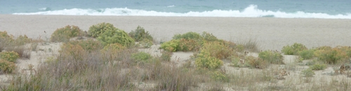plage_leucate-2f94f plage_leucate-2f94f