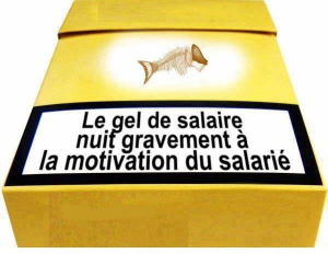 Gel du salaire Gel du salaire