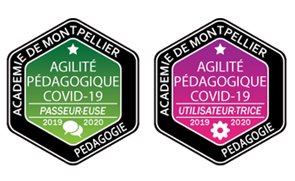 Badges Badges